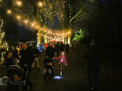 Kabouterbos in kerstsfeer 2024