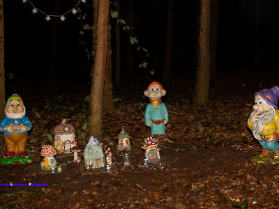 Kabouterbos in kerstsfeer 2024 | ML