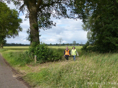 Wandeldriedaagse Dag 02