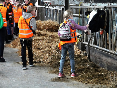 Wandeldriedaagse Dag 03..... 2024 36